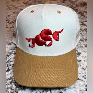Chicago Bulls Hat